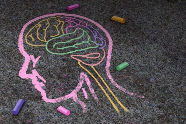 Chalk drawing of the human brain.