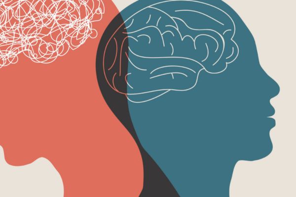 Graphic representation of two brains.