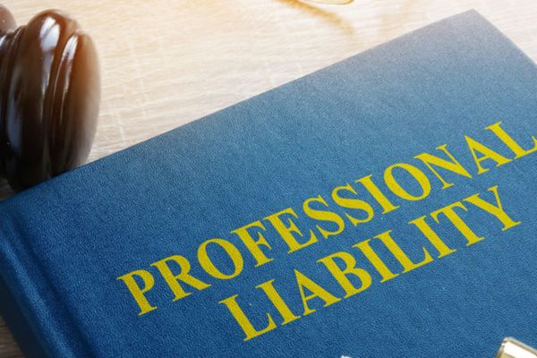 Close up of book titled "Professional Liability" next to a gavel.