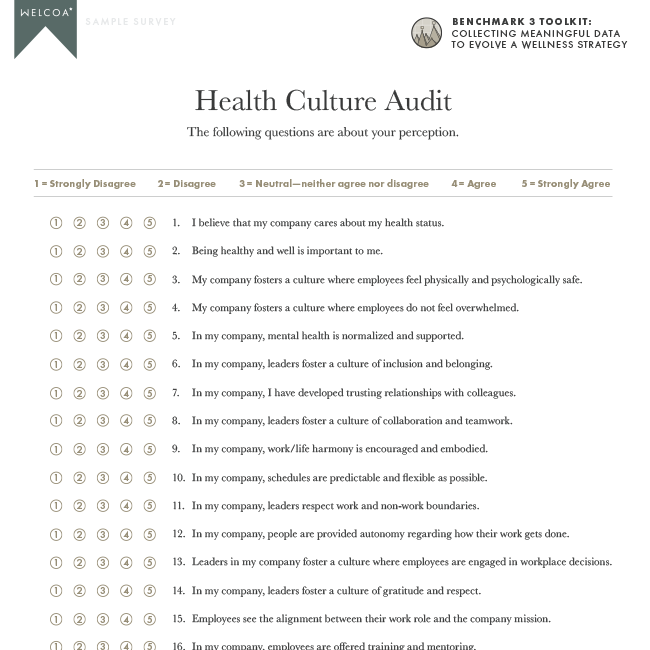 Health Culture Sample Audit