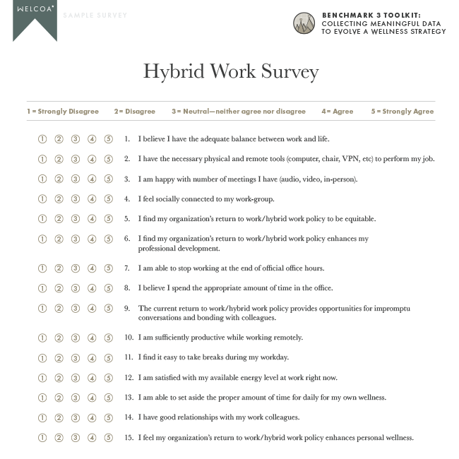 Hybrid Work Survey