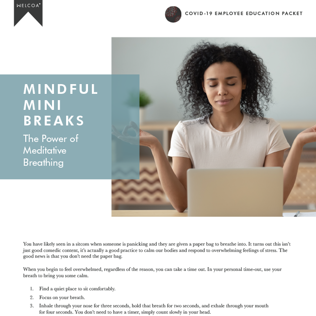 Mindful Mini Breaks