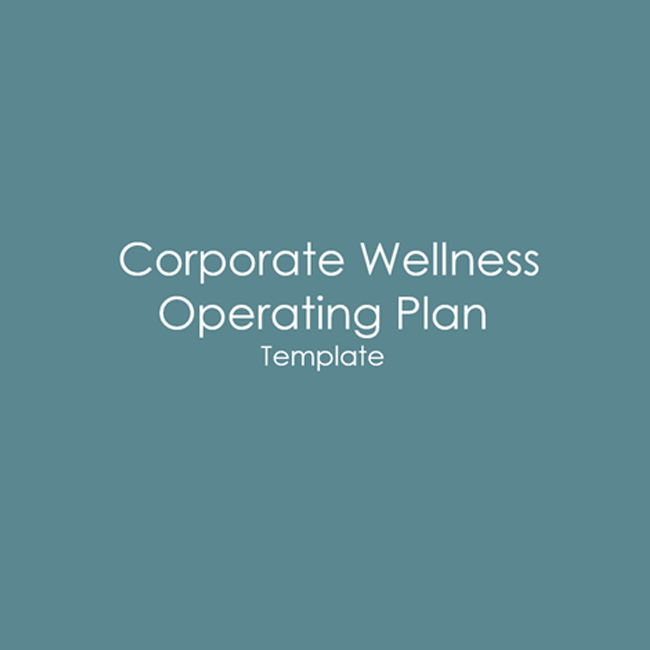Operating Plan Presentation Template